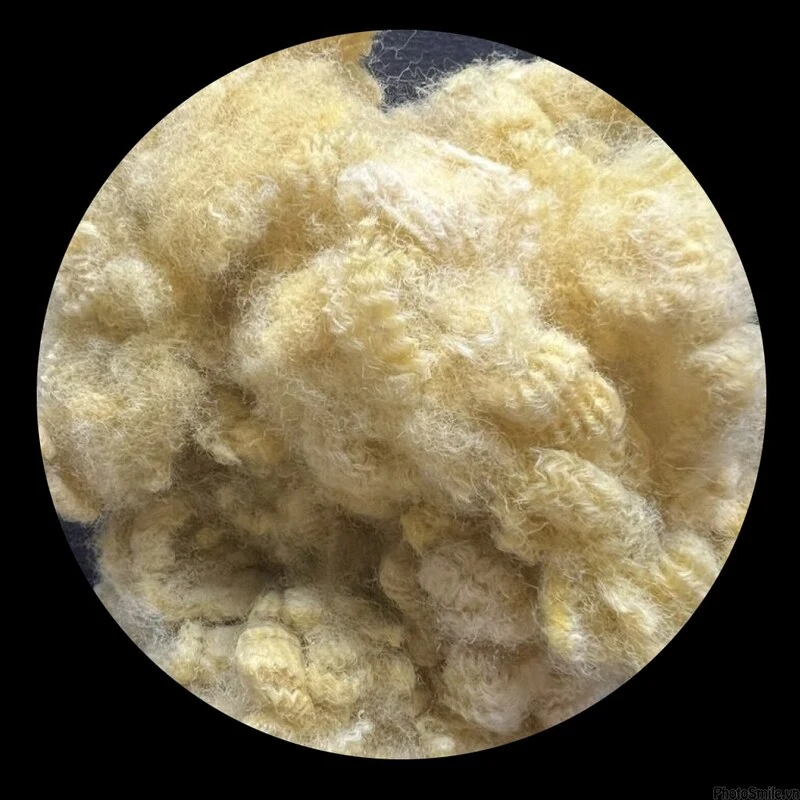 20D 51 Yellow Solid Dry