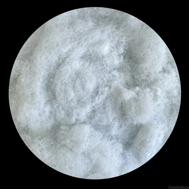 20D 51 SD Solid Dry