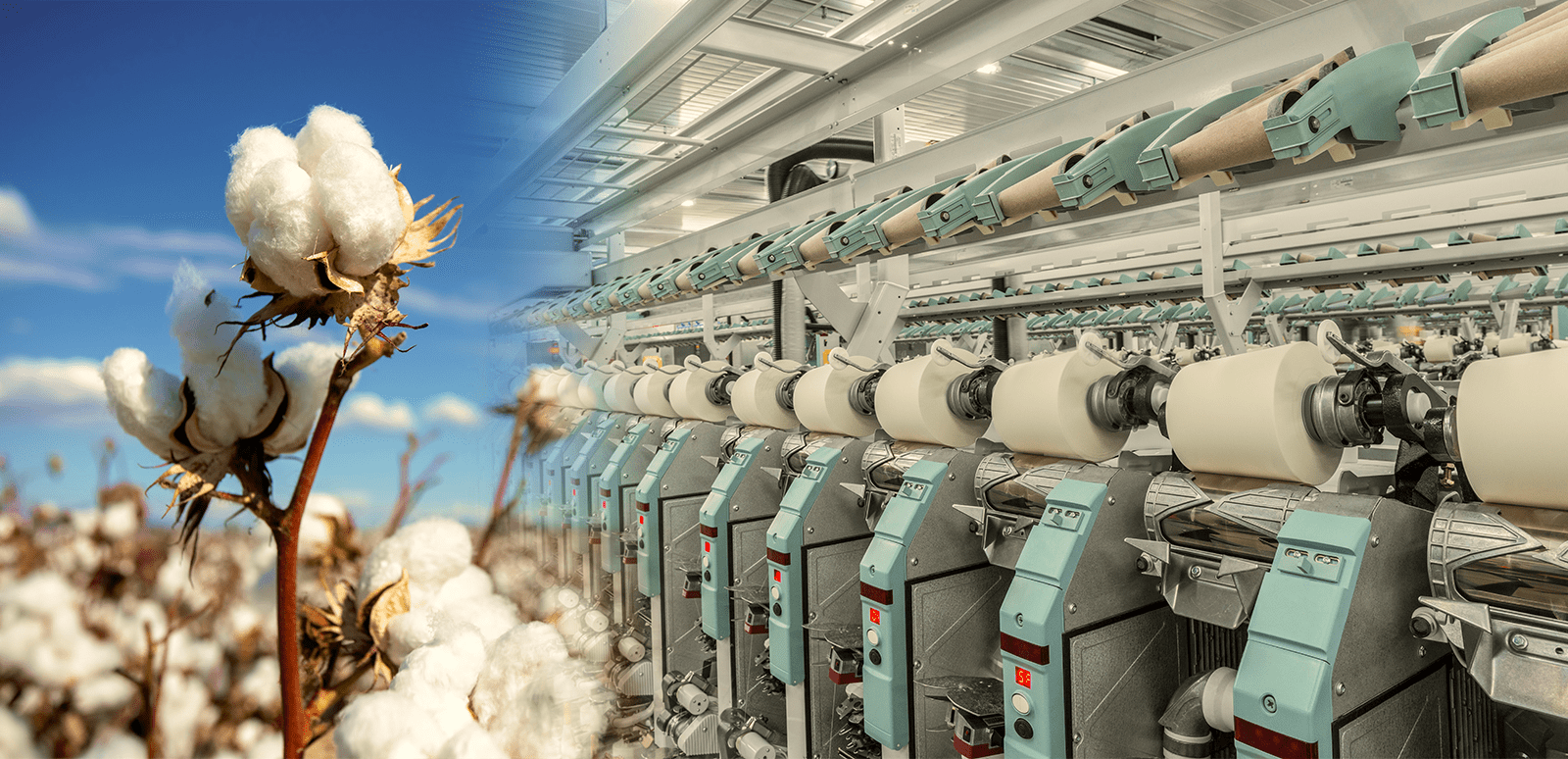 Chào mừng đến với Vinafiber